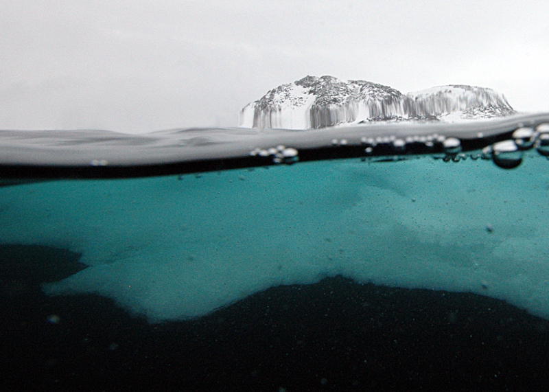 Ice seen from underwater (picture by Linda Ashmore)